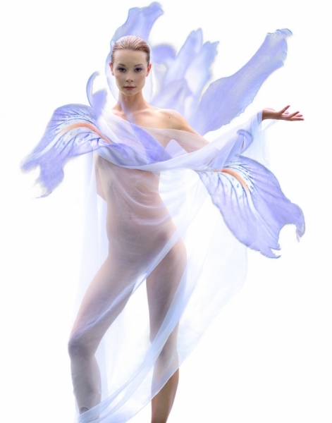 Photograph Ethan T Allen Wild Iris on One Eyeland